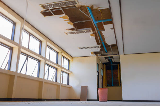 Best Local water damage restoration  in Doraville, GA