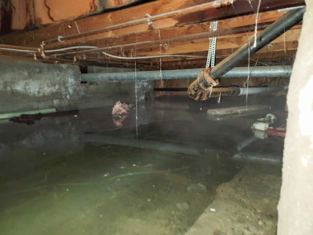 Best Flooded house restoration  in Doraville, GA