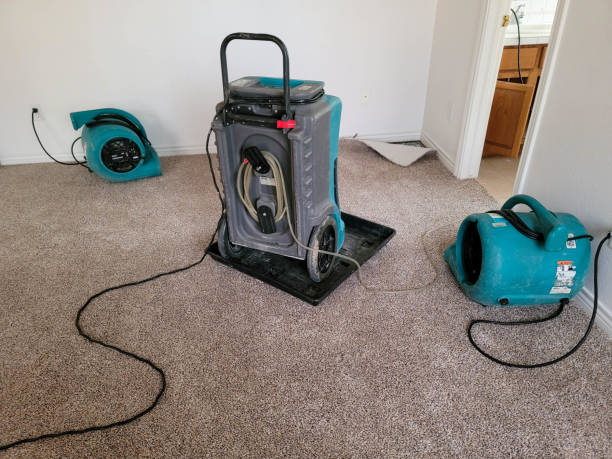 Best Water damage cleanup near me  in Doraville, GA