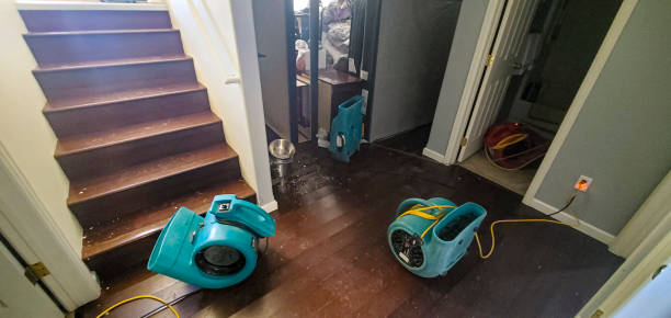 Best Basement water damage restoration  in Doraville, GA