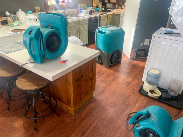 Best Residential water damage restoration  in Doraville, GA