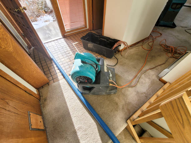 Best Flood damage cleanup  in Doraville, GA