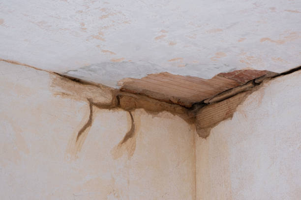 Best Water damage restoration near me  in Doraville, GA
