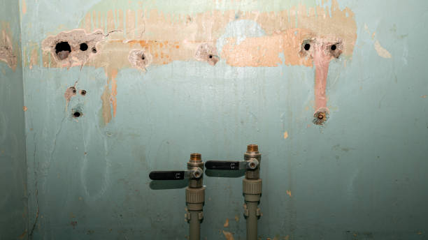 Best Flood restoration services  in Doraville, GA