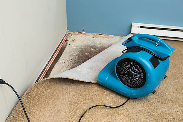 Best Mold removal after water damage  in Doraville, GA